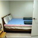 요티인1897 이미지