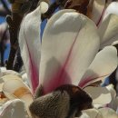 전정금농장 이미지