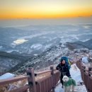 정암사 주차장 | 오서산 정암사 ,쉰질바위 코스 비교 강아지랑 백패킹 후기