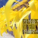 세월호 희생자 전국 합동분향소 위치 안내 이미지