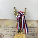 일번피티 이미지