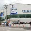 상록수체육관 SBS