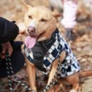 멍뽀인트 이미지