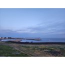 별도연대 이미지