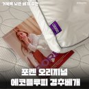 달뜰목 | 베개유목민의 찐 후기 포렌 오리지널 에코플루피 경추베개 사용후기 거북목베개 추천