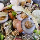 굴사냥조개사냥 이미지