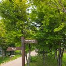 제3구경길 화진포 둘레길 | 휘닉스파크 태기산둘레길 몽블랑 코스 대박 고생한 후기