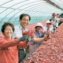 정족2리 이미지