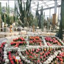 푸른산수목원 이미지