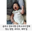송파구 정부지원 산후도우미 업체 리스트 찾는 방법 싸이트 예약 팁