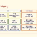 글리어학원