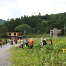 매봉산1 이미지