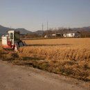 대환농장 이미지