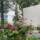 내촌어린이공원 이미지