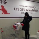 이리온 동물병원 병점점 네이버블로그