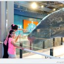 장생포고래박물관 이미지