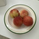 서린푸드 | [임신 7~9주] 내 하리보는 어디에🥹 임신초기 먹덧 체덧 공복덧