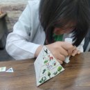 카이로스학원 - 수성구 범어로20길 5 | 실험으로 배우는 과학! 대구 수성구 범어 GP카이로스 학원 생태계 수업 체험기