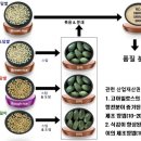 도담기술개발