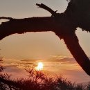 경성공인중개사사무소 이미지