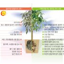 원타임 이미지