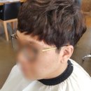 보리떼 모노
