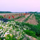 삼주1공인중개사사무소 이미지