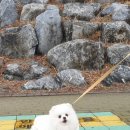 제천시민공원 이미지