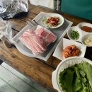 계룡산글램핑 동월숲 네이버블로그