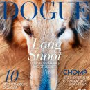 도그(DOGUE) 이미지
