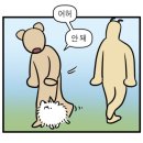 산책하는 강아지 이미지