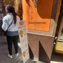 명동뒷길 | 스페인 마요르카 인생 젤라또 맛집 BEST 2 (Giovanni L vs Rivareno 솔직 비교)