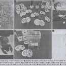 현대화장품