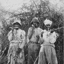 영국2농장 이미지