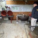 대한흑염소 이미지