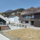 팀버