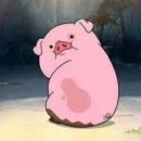 탐라도다 이미지