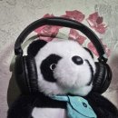 데일리 블루투스 무선헤드폰 필립스 TAH2209