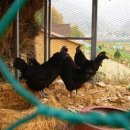 푸른꿈고등학교 이미지