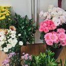은빛꽃꽂이조경학원