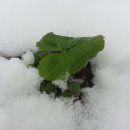 바산농장 이미지