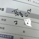 한우동물병원 이미지