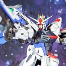 머슬프리덤 이미지