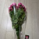 김성환 농장 | 웨딩촬영 실바핑크장미 셀프 부케 만들기