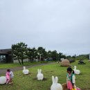 휘닉스 실내수영장 이미지