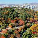 김천시증산면장전보건진료소 | [주말&amp;여행] 경북 김천 옥류동과 장전폭포