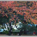 머믄자리 이미지