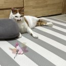 영광동물병원 이미지