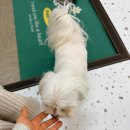 수원-0635 | 진주 속눈썹펌 추천 혁신도시 이쁘지유 내돈내산 후기