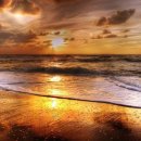 제야의 종 타종식 이미지